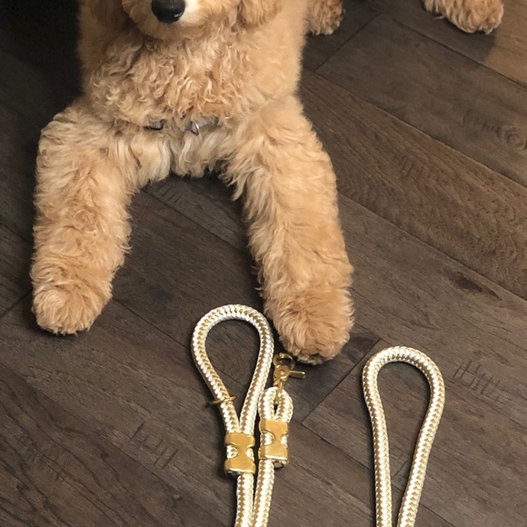 Dog Leash - Picture 5 of 5